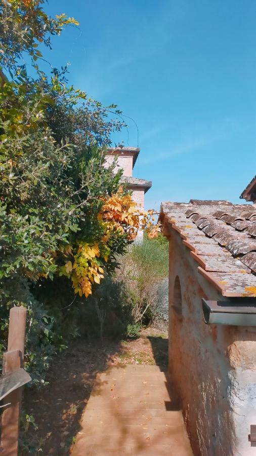 Cosy Country Room Garden ソヴィチッレ エクステリア 写真